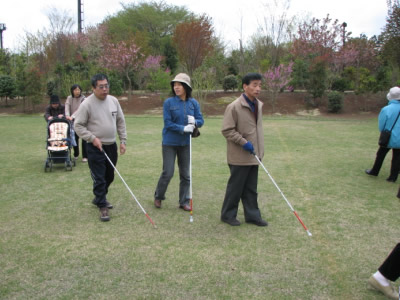 視覚障害者の皆さんがお花見をしている写真